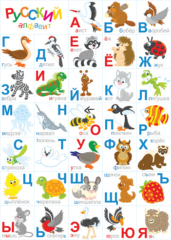 Нужно ли учить буквы ребёнка в 3–4 года?